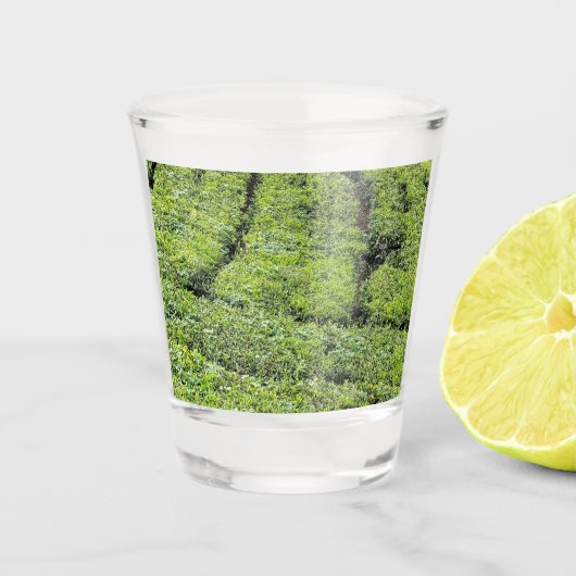 Tee-Gärten von Munnar auf Schnapsglas (Vorderseite)