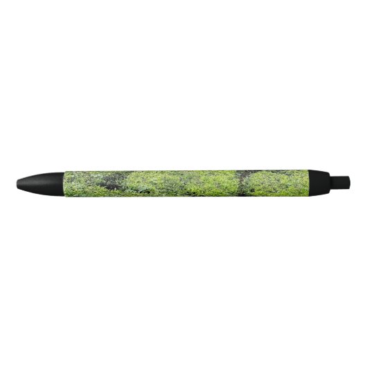Tee-Gärten von Munnar mit Stift (Vorderseite)