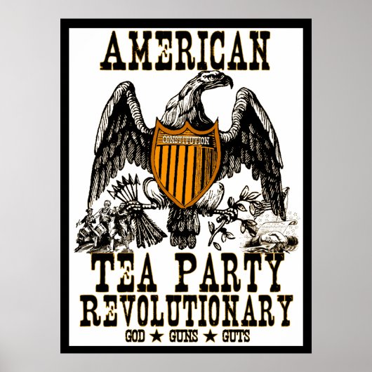 Tee-Party-Revolution Poster (Vorne)