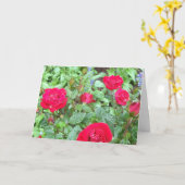 Tee-Rose-Blankokarte Karte (Gelbe Blume)