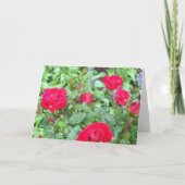 Tee-Rose-Blankokarte Karte (Vorderseite)