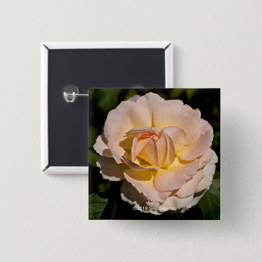 Tee-Rose Button (Vorne & Hinten)