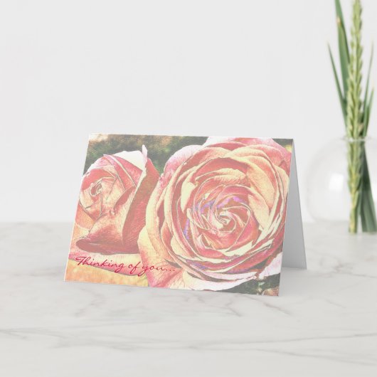 Tee-Rosen vom Garten Karte (Vorderseite)