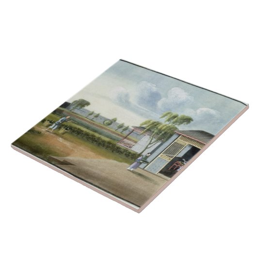 Tee sortieren (w/c auf Papier) Fliese (Seite)