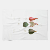 TEE-TOWEL: BOTANISCH: REDOUTÉ: Futter Geschirrtuch (Horizontal)
