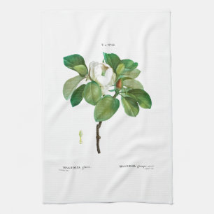 TEE-TOWEL: BOTANISCH: REDOUTÉ: MAGNOLIA GESCHIRRTUCH