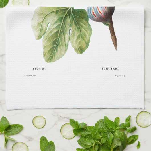 TEE-TOWEL: REDOUTÉ: Futter Geschirrtuch (Gefaltet)