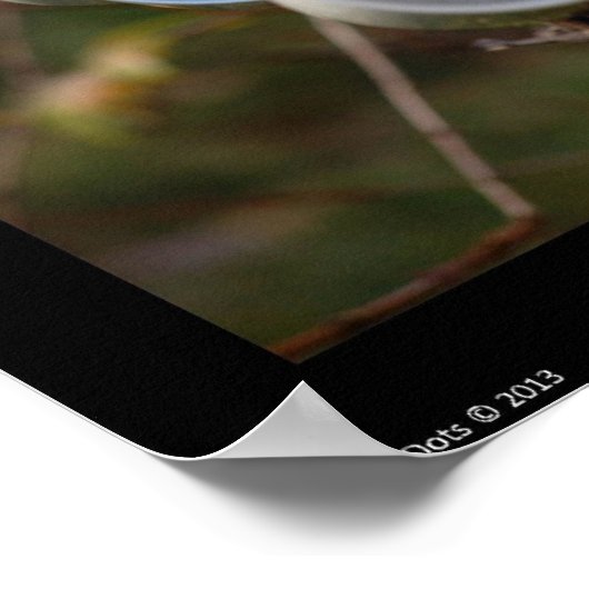 Tee und Bücherposter Poster (Ecke)