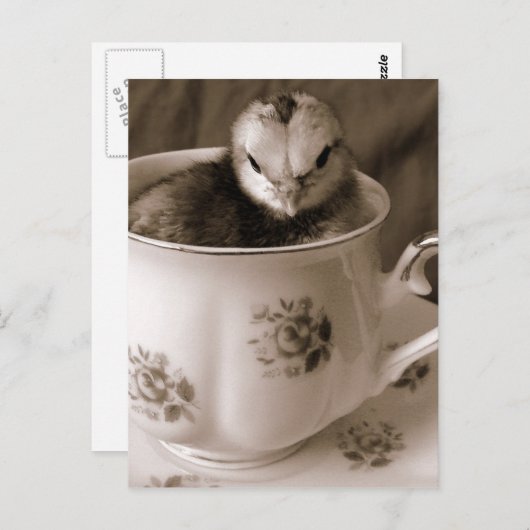 Teebecher Postkarte (Vorne/Hinten)