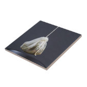 Teebeutel hängt in einer Tasse Fliese (Seite)