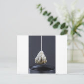 Teebeutel hängt in einer Tasse Postkarte (Stehend Vorderseite)