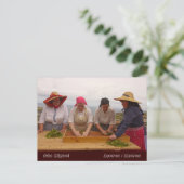 Teegärten von Porto Formoso Postkarte (Stehend Vorderseite)