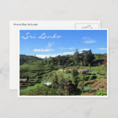 Teehügel Postkarte (Vorne/Hinten)