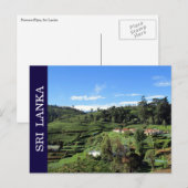 Teehügel sri lanka postkarte (Vorne/Hinten)