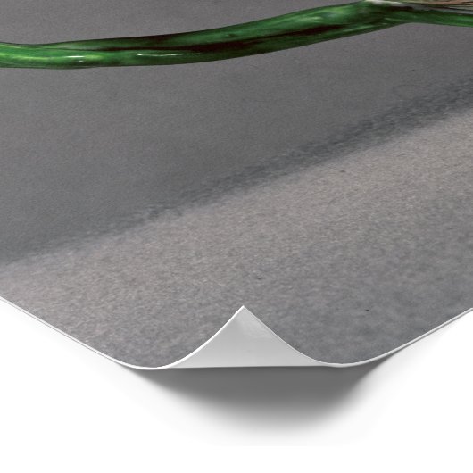 Teekanne Longton Hall, c.1755 Poster (Ecke)