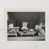 Teekanne reinigen postkarte (Vorne/Hinten)