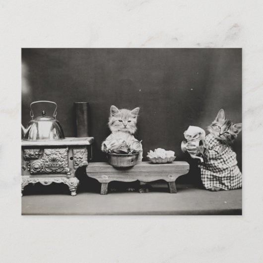 Teekanne reinigen postkarte (Vorderseite)