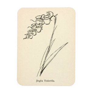 Teekannen-Blumenpflanze vintage Jinglia Tinkettlia Magnet