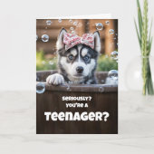 Teen Teenager Happy Birthday Cute Husky Funny Karte (Vorderseite)