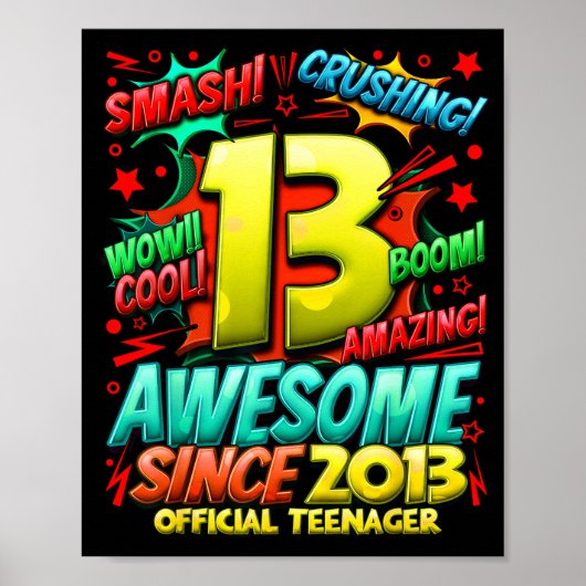 Teenager 13 Year Old Boys 13th Birthday Boy Poster (Vorne)