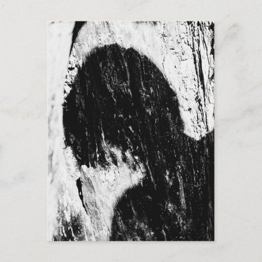 Teenagerschatten Postkarte (Vorderseite)