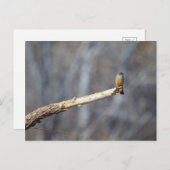 Teenie Tiny Postkarte (Vorne/Hinten)