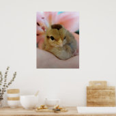 Teeny in Hand Poster (Küche)