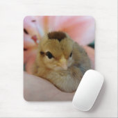 Teeny in meiner Hand Mousepad (Mit Mouse)
