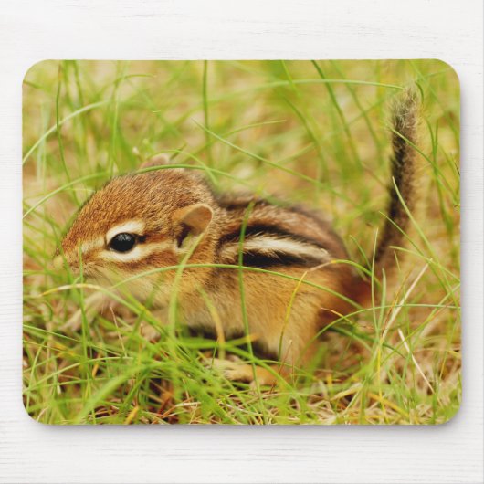 Teeny kleiner BabyChipmunk Mousepad (Vorne)