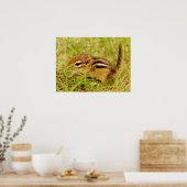 Teeny Tiny Baby Chipmunk Poster (Küche)