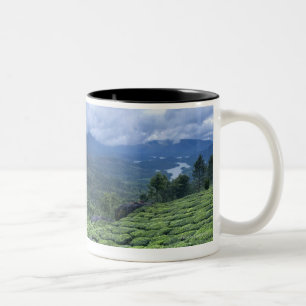 Teeplantage 2 Kerala-Staat Indien Zweifarbige Tasse