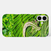 Teeplantage Cameron Highlands Case-Mate iPhone Hülle (Rückseite (Horizontal))