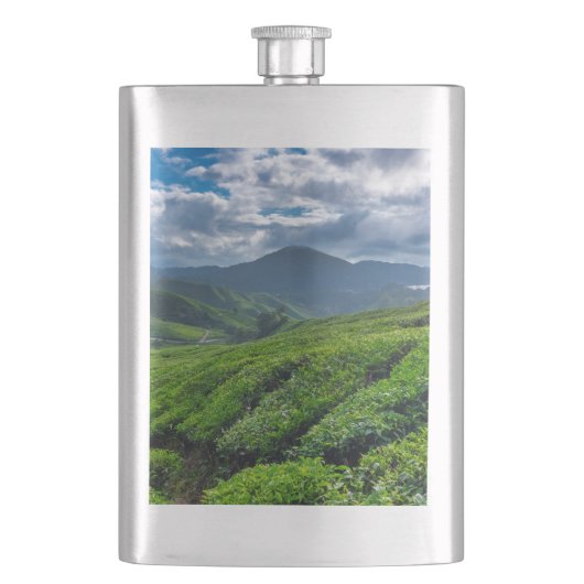 Teeplantage Cameron Highlands Flachmann (Vorderseite)