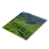 Teeplantage Cameron Highlands Fliese (Seite)