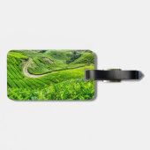Teeplantage Cameron Highlands Gepäckanhänger (Rückseite horizontal)