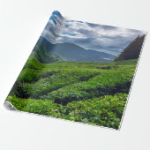 Teeplantage Cameron Highlands Geschenkpapier (Ungerollt)