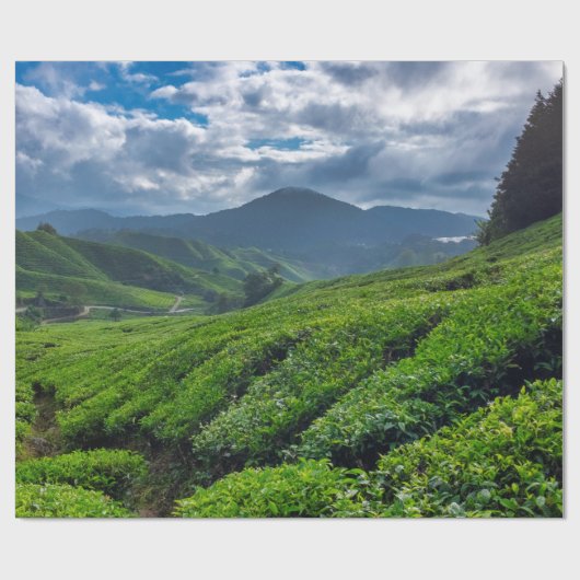 Teeplantage Cameron Highlands Geschenkpapier (Flach)