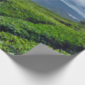 Teeplantage Cameron Highlands Geschenkpapier (Ecke)