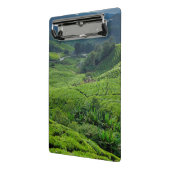 Teeplantage Cameron Highlands Mini Klemmbrett (Gewinkelt2)