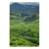 Teeplantage Cameron Highlands Mini Klemmbrett (Rückseite)