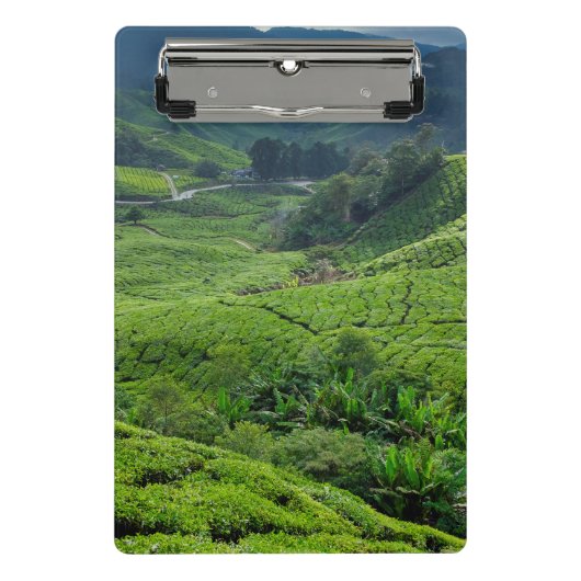 Teeplantage Cameron Highlands Mini Klemmbrett (Vorderseite)
