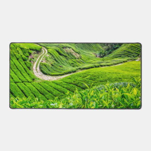 Teeplantage Cameron Highlands Schreibtischunterlage