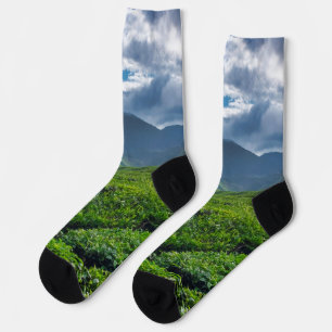 Teeplantage Cameron Highlands Socken