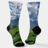 Teeplantage Cameron Highlands Socken (Gewinkelt)