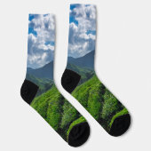Teeplantage Cameron Highlands Socken (Rechts)