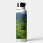 Teeplantage Cameron Highlands Trinkflasche (rechts)