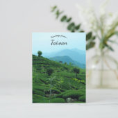 Teeplantage in Taiwan Postkarte (Stehend Vorderseite)