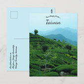 Teeplantage in Taiwan Postkarte (Vorne/Hinten)