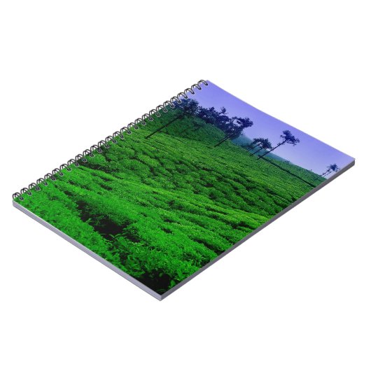 Teeplantage Notizblock (Linke Seite)