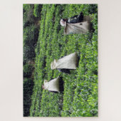 Teeplantage Puzzle (Vertikal)
